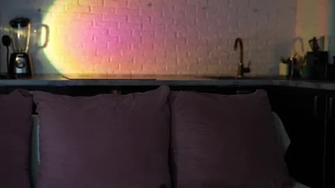 Saved: Al1ce_Fox Broadcast (May 21, 2026 23:04, 41min)
