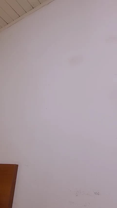 Saved: Bellaju Broadcast (March 19, 2026 03:18, 58min)