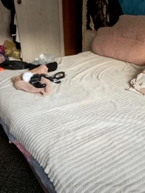 Saved: Cat-Bars69 Broadcast (January 27, 2026 09:56, 30min)