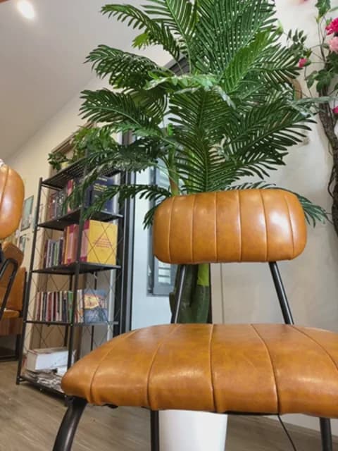 Saved: Clinic_Sexy Broadcast (March 24, 2026 06:41, 52min)