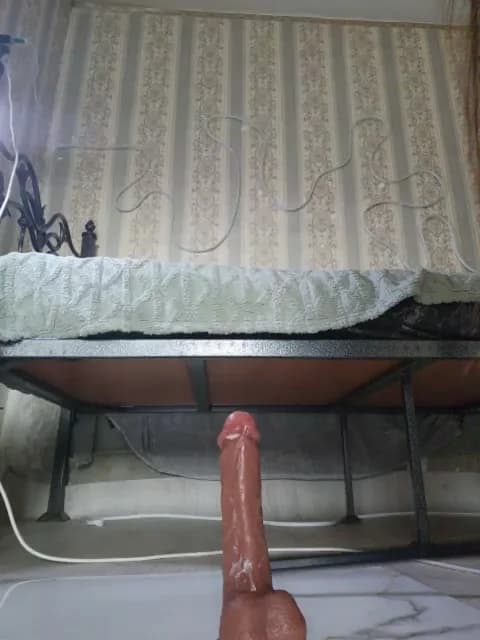 Saved: Gentlyplease1 Broadcast (April 5, 2026 05:10, 54min)