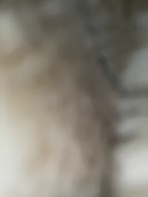 Saved: KARASEVDAKINOGO Broadcast (February 4, 2026 10:25, 78min)