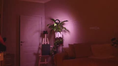 Saved: Kottyaaaa Broadcast (May 31, 2026 01:23, 120min)
