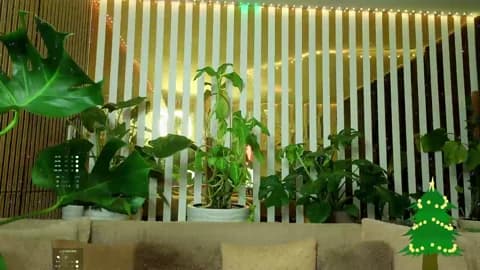 Saved: MiaLiaHot Broadcast (January 8, 2026 09:11, 98min)