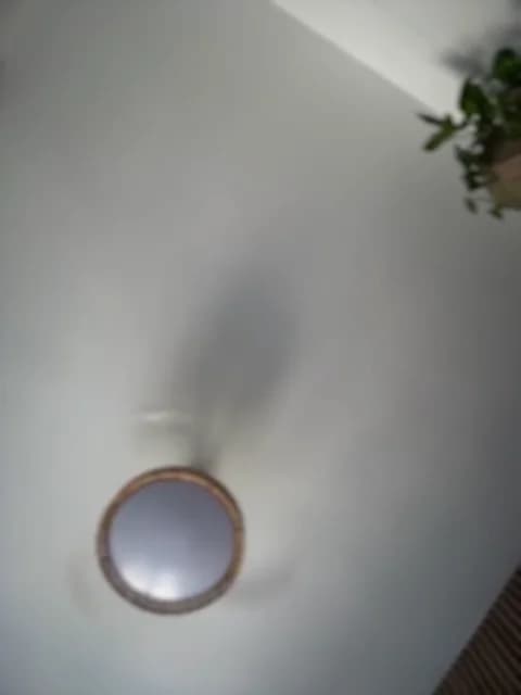 Saved: NastyMilf_ Broadcast (March 19, 2026 11:32, 32min)