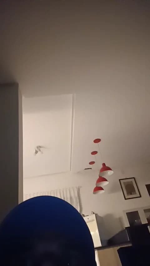 Saved: PeludassoBaiano Broadcast (April 18, 2026 03:29, 32min)