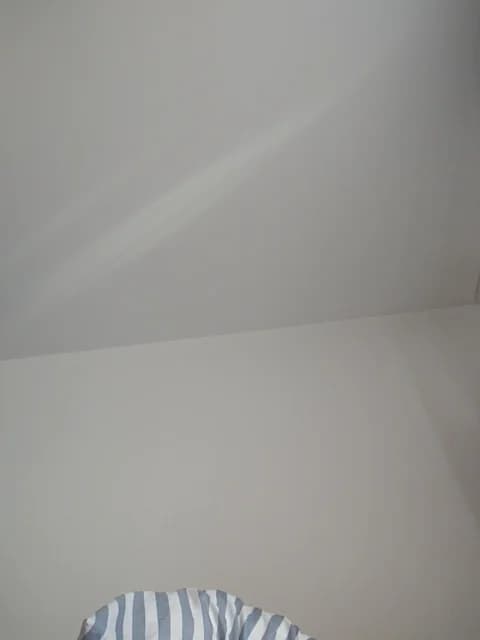 Saved: WetTigress Broadcast (April 6, 2026 10:31, 113min)