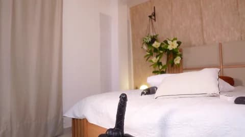 Saved: ana_maria11 Broadcast (January 12, 2026 09:39, 120min)