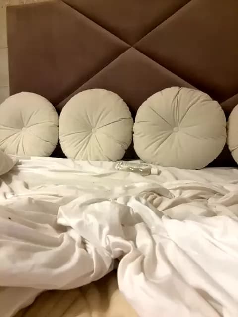 Saved: aniram2221 Broadcast (January 11, 2026 04:40, 34min)