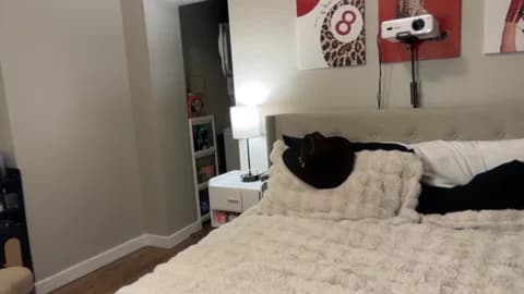 Saved: camilaaa15 Broadcast (January 11, 2026 04:06, 50min)