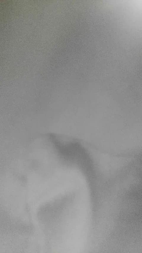 Saved: harucristal Broadcast (May 5, 2026 04:56, 62min)