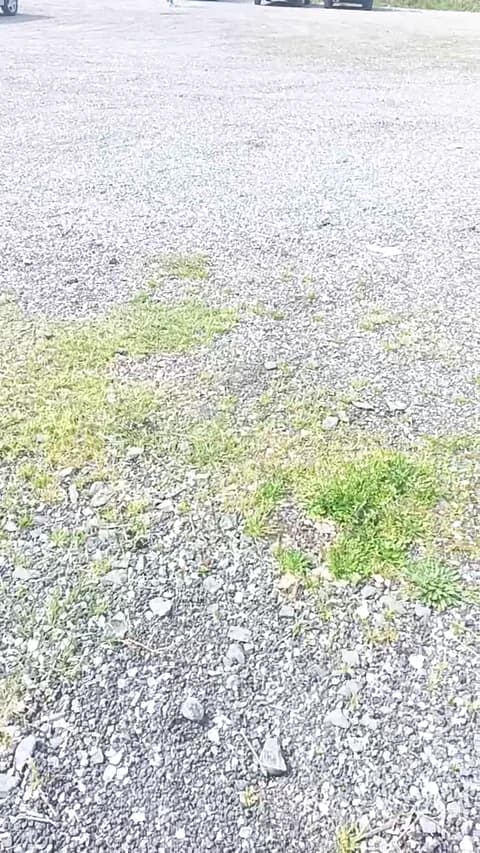 Saved: livenews1 Broadcast (March 15, 2026 11:39, 48min)