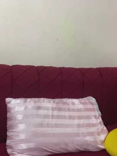 Saved: mari_layali Broadcast (April 2, 2026 02:20, 38min)