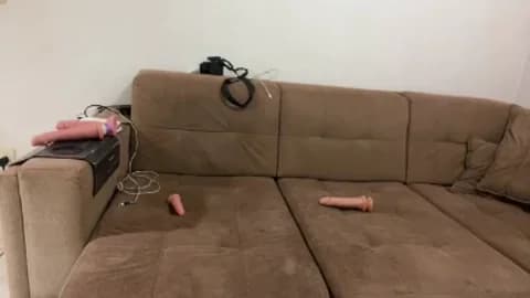 Saved: nicollyalves21 Broadcast (May 24, 2026 02:43, 47min)