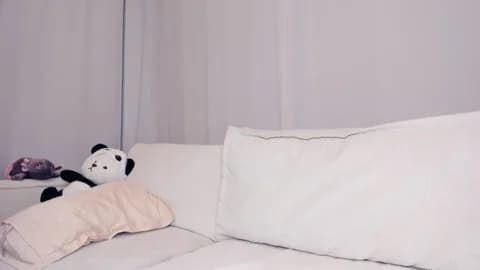 Saved: rina_tv Broadcast (January 12, 2026 01:28, 41min)