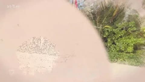 Saved: taanni_bc Broadcast (January 16, 2026 10:19, 76min)