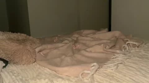 Saved: taliavaine Broadcast (January 19, 2026 20:56, 100min)