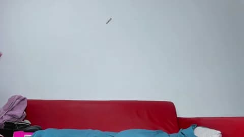 Saved: thairy_sexi Broadcast (April 13, 2026 16:44, 120min)