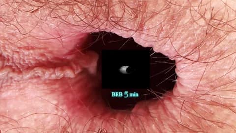 Saved: your-red-wine Broadcast (March 26, 2026 21:39, 120min)